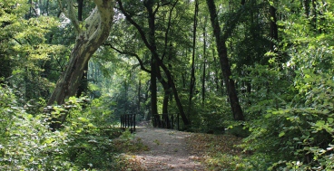 Schlosspark Pottendorf